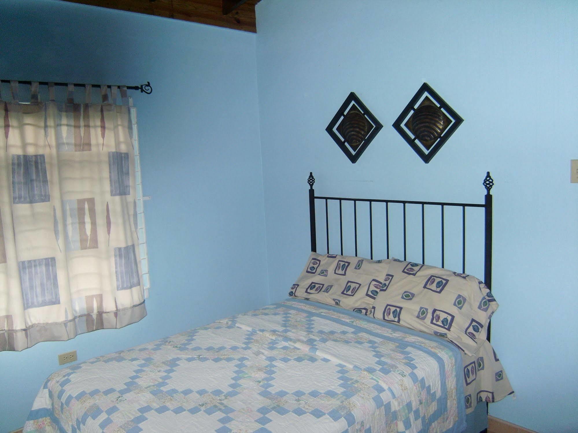 New Kingston Guest Apt At Sonoma Estate Extérieur photo